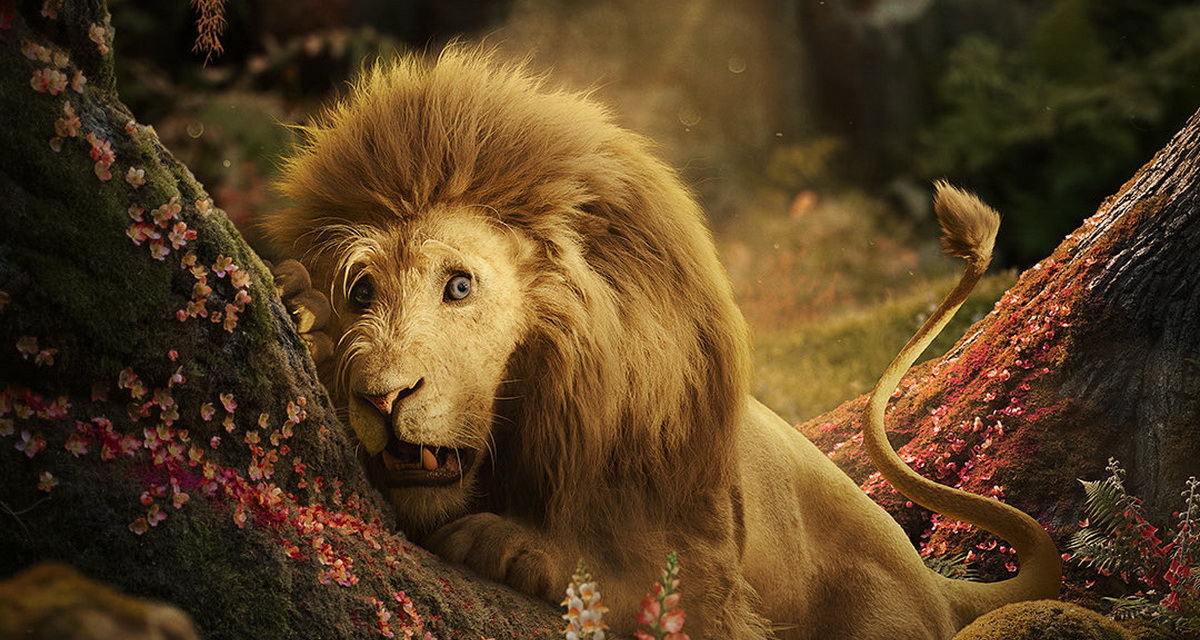 Обложка: постер фильма «Злая: Навсегда»