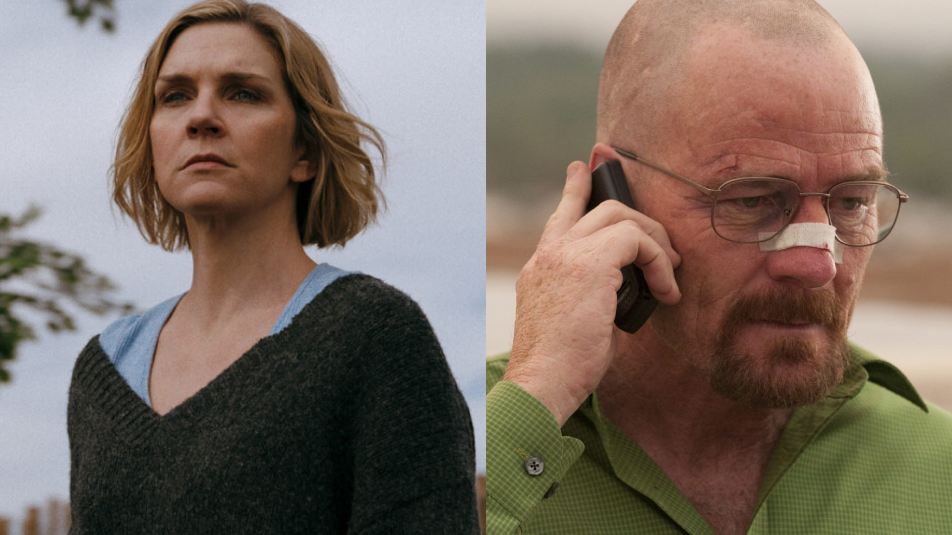 Обложка: кадры из сериалов «Из многих», «Во все тяжкие»