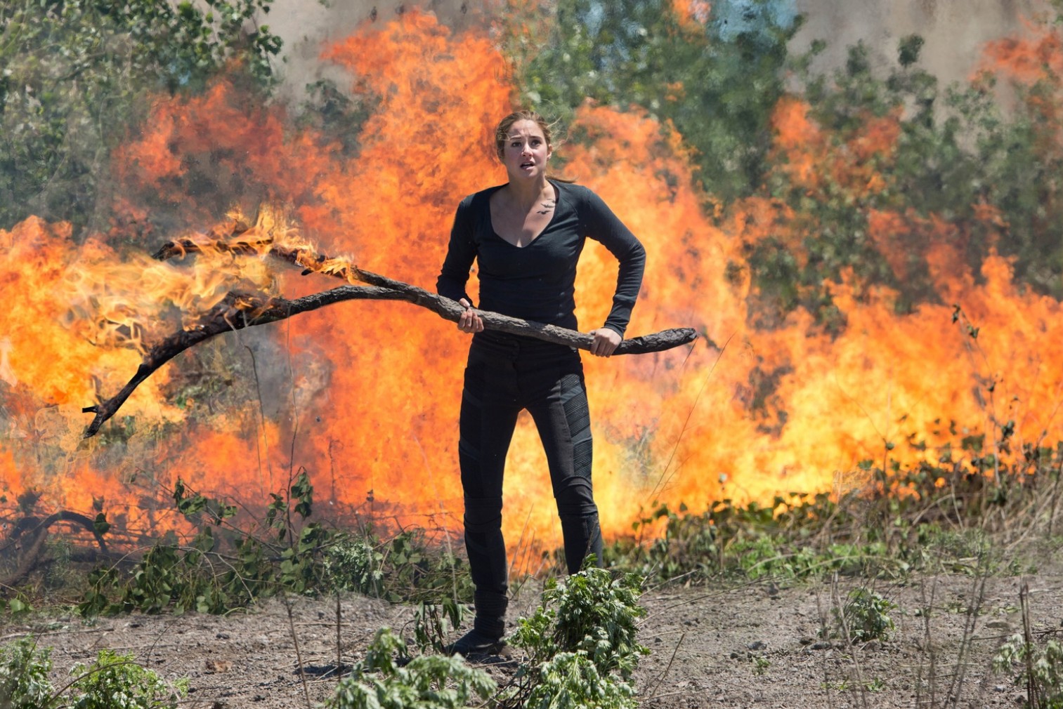 Обложка: "Дивергент"