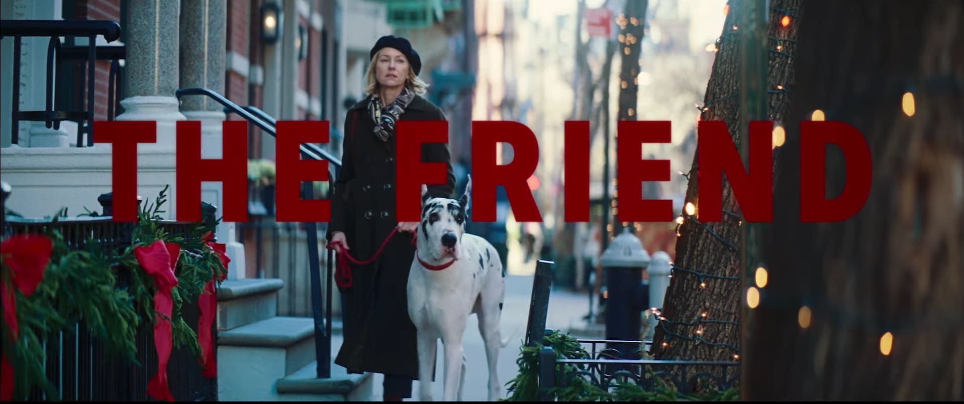 Обложка: кадр из фильма «Друг»