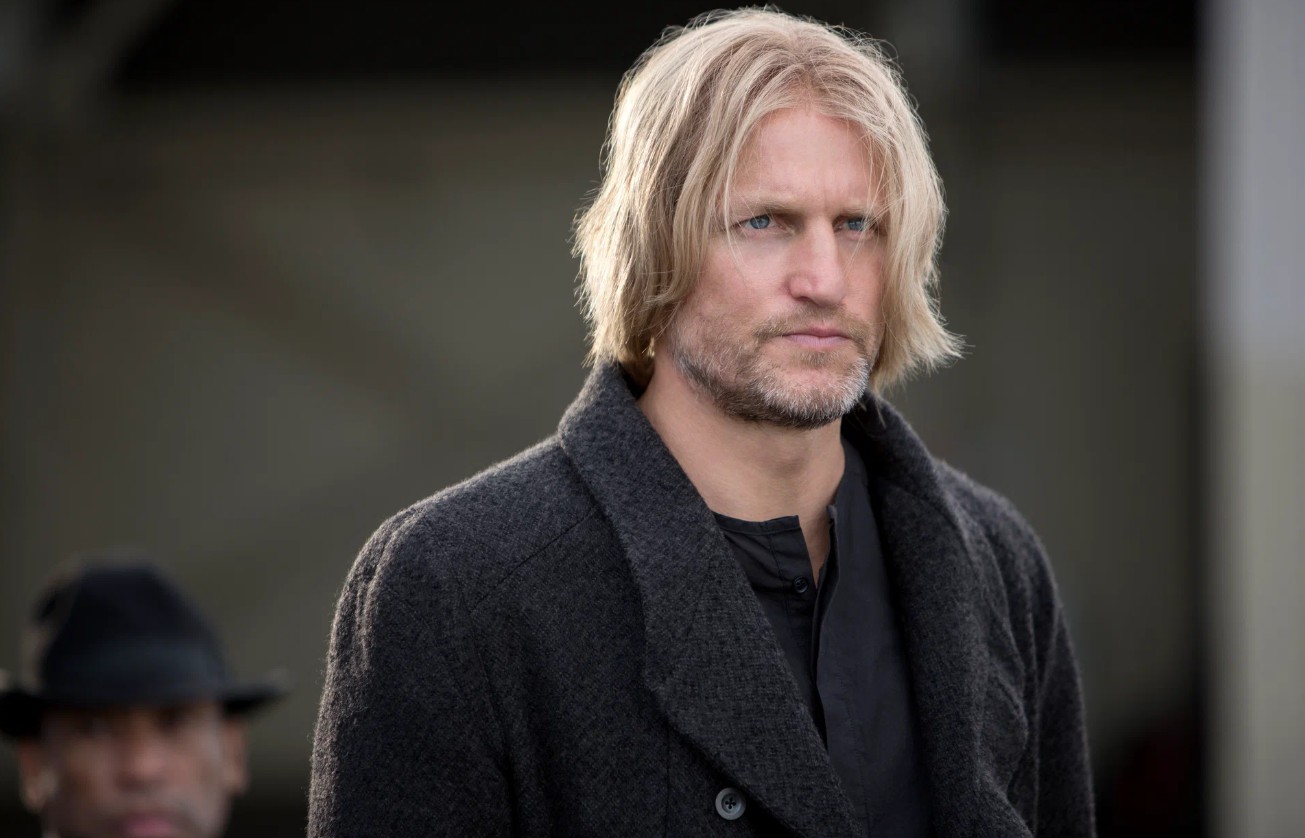 Обложка:  "Голодные игры: И вспыхнет пламя"