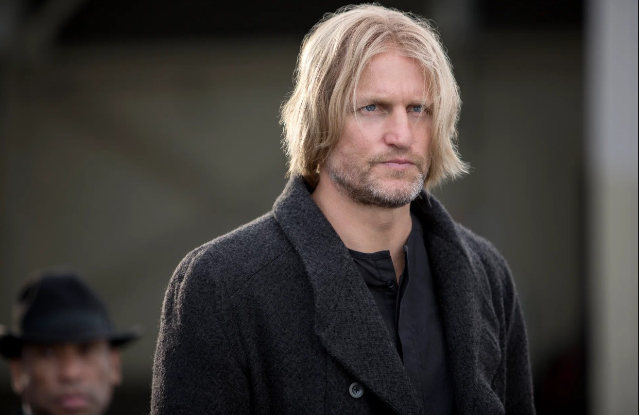 Обложка: "Голодные игры: И вспыхнет пламя"