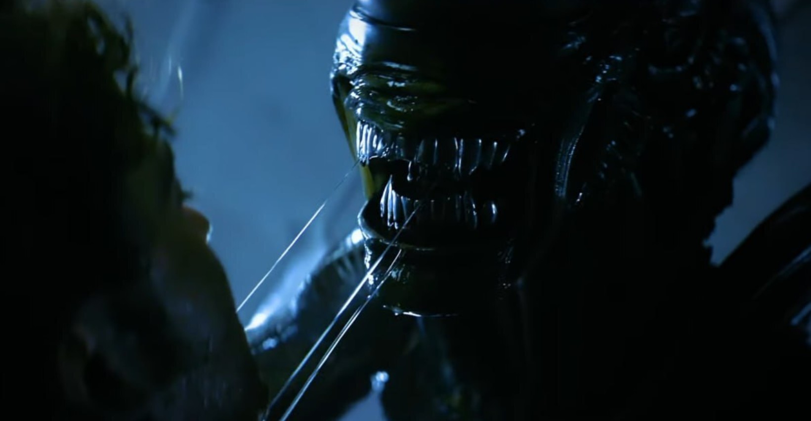 Обложка: "Чужой: Земля"