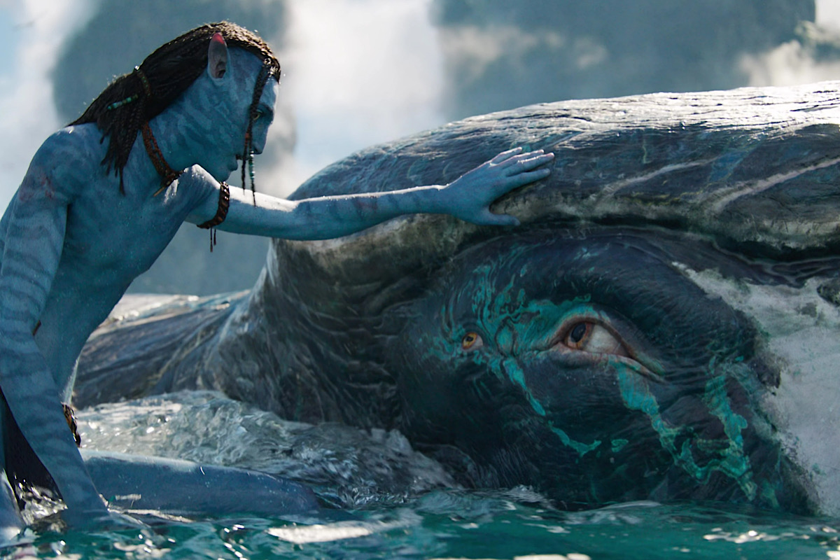 Обложка: Аватар: Путь воды