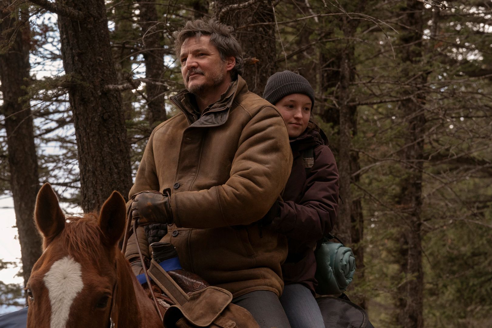 Обложка: кадр из сериала «Одни из нас»