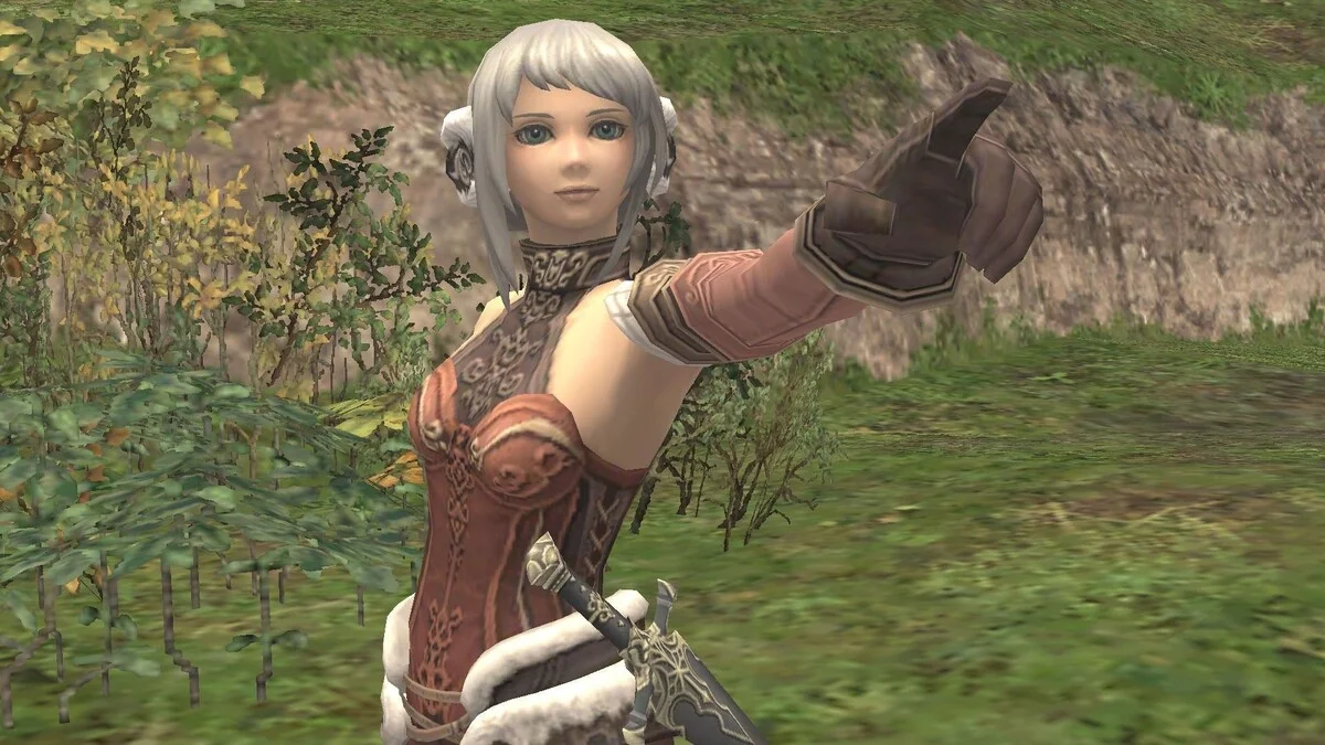 Обложка: Final Fantasy 11