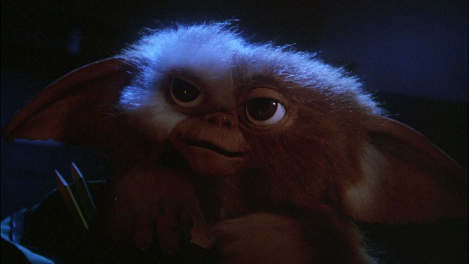 Обложка: кадр из фильма «Гремлины»