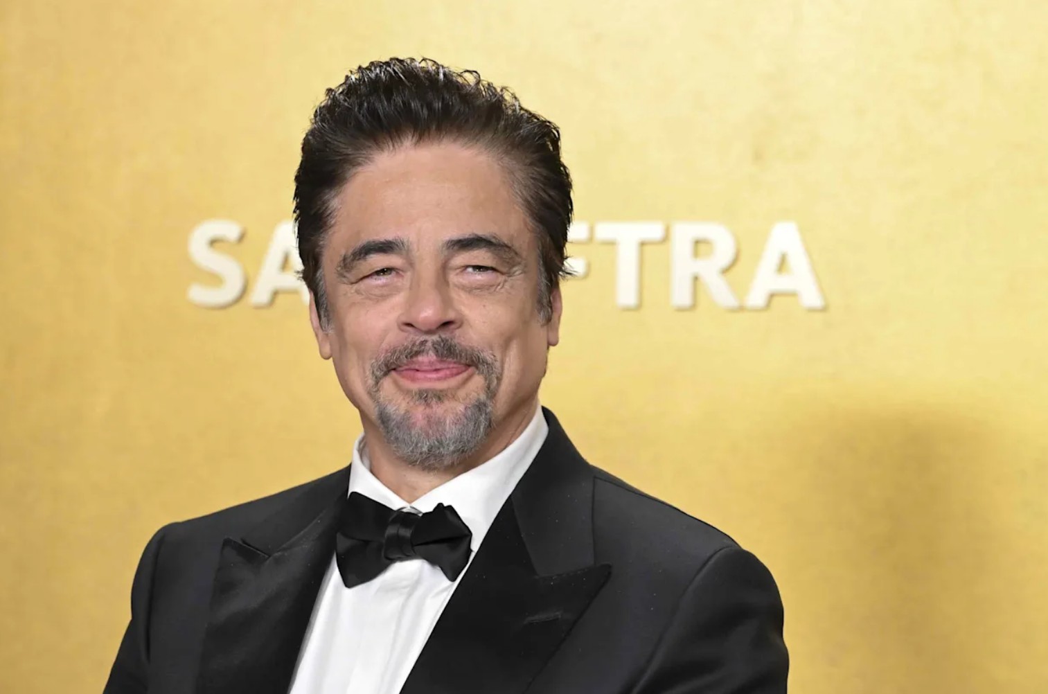 benicio del toro home