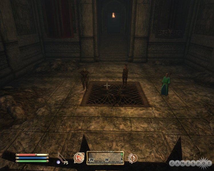 The Elder Scrolls 4: Shivering Isles — скриншот 5