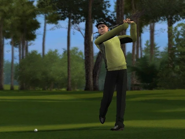 Tiger Woods PGA Tour 10 - кадр 9