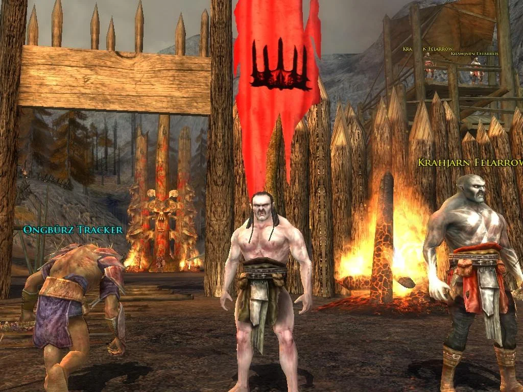 The Lord Of The Rings Online: Shadow of Angmar - кадр 11
