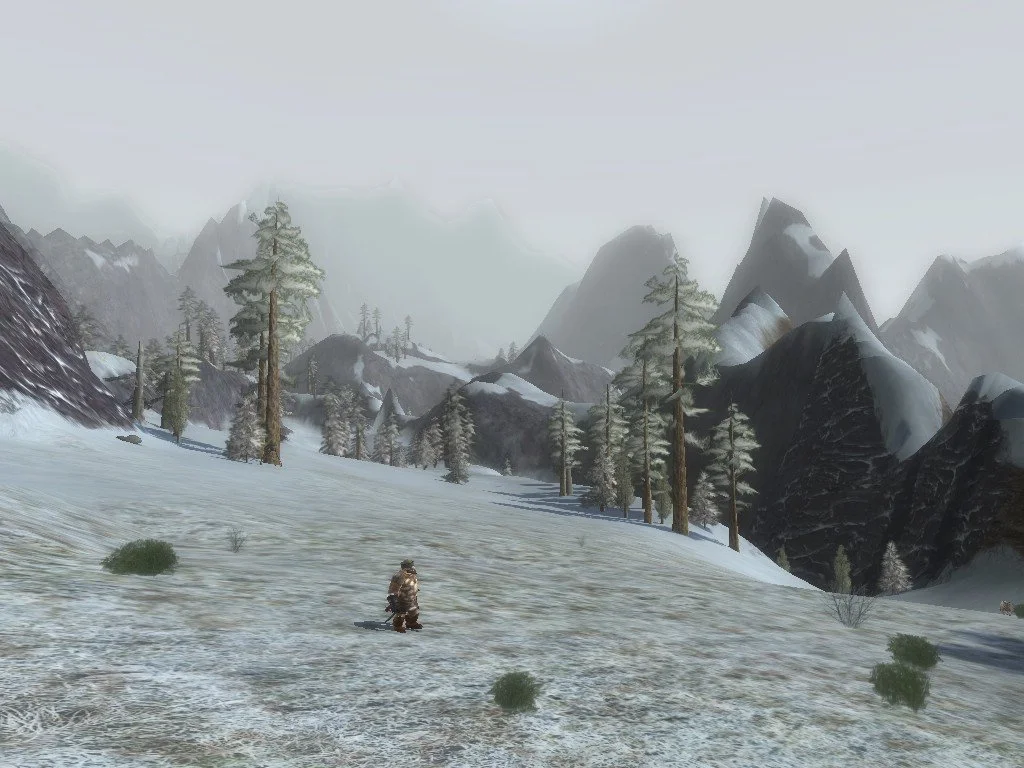 The Lord Of The Rings Online: Shadow of Angmar - кадр 3