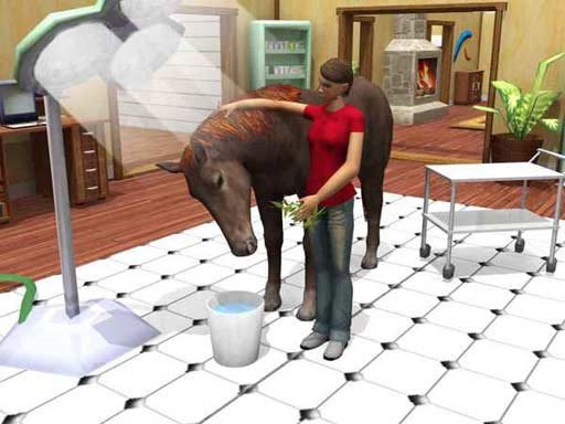 Paws & Claws Pet Vet: Australian Adventures — скриншот 4