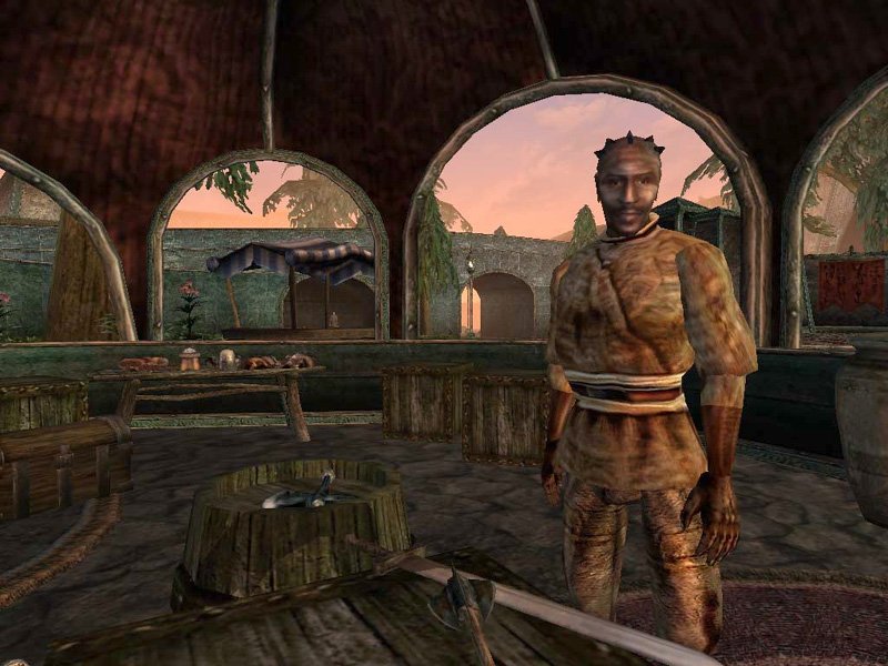 The Elder Scrolls 3: Bloodmoon — скриншот 2