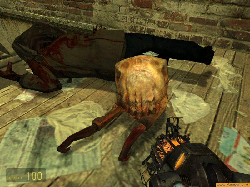 Half-Life 2 — скриншот 7