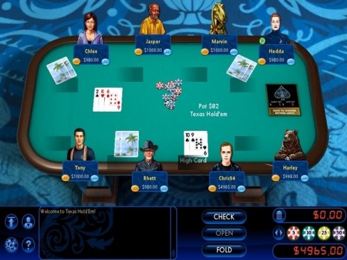 Hoyle Card Games 2010 — скриншот 5