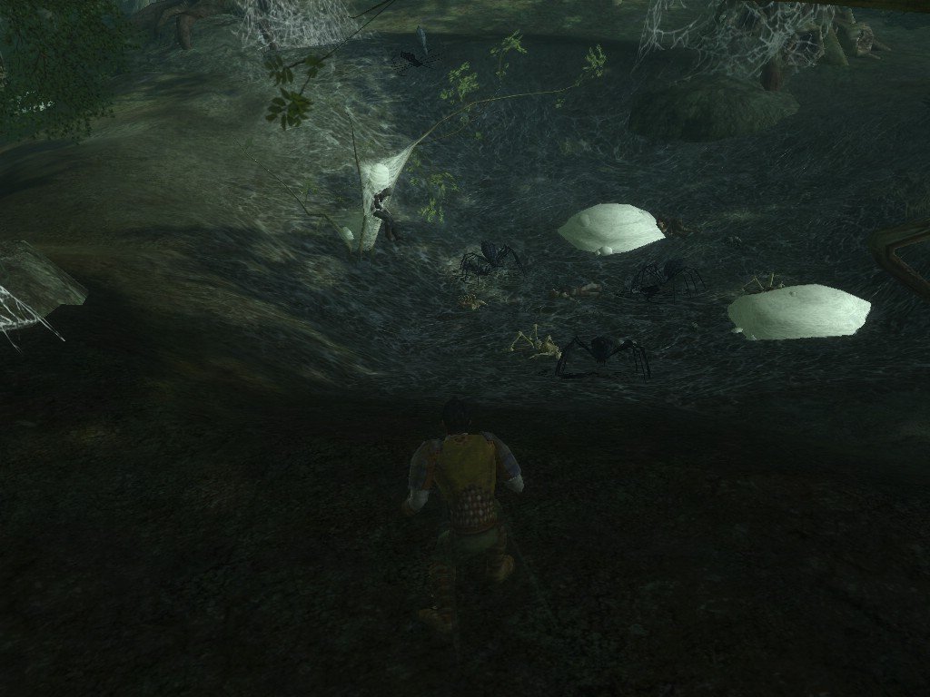 The Lord Of The Rings Online: Shadow of Angmar — скриншот 8