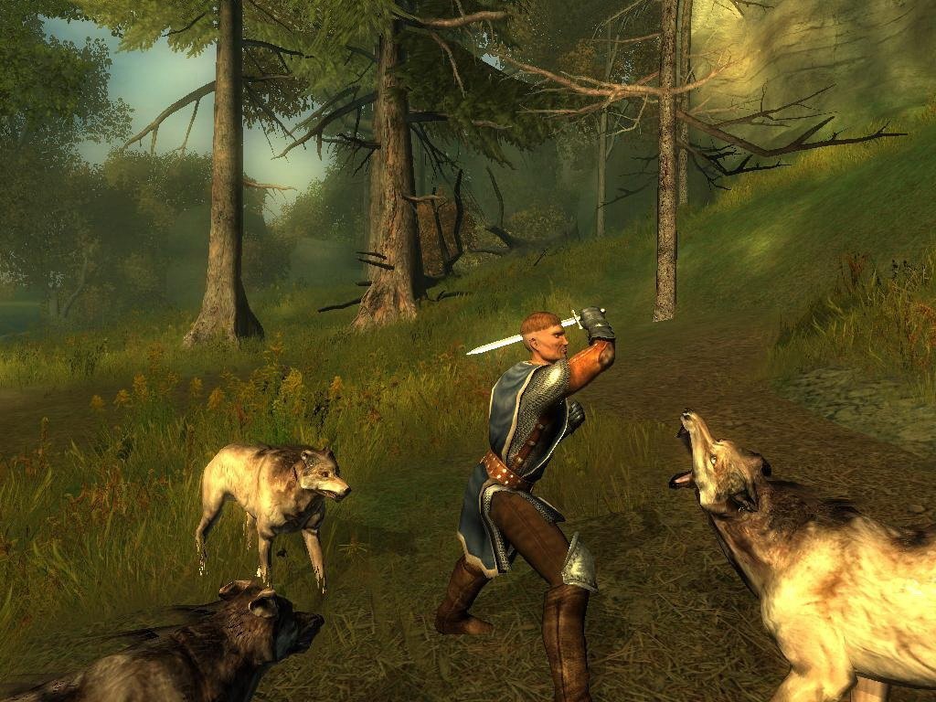 Drakensang: The Dark Eye — скриншот 6