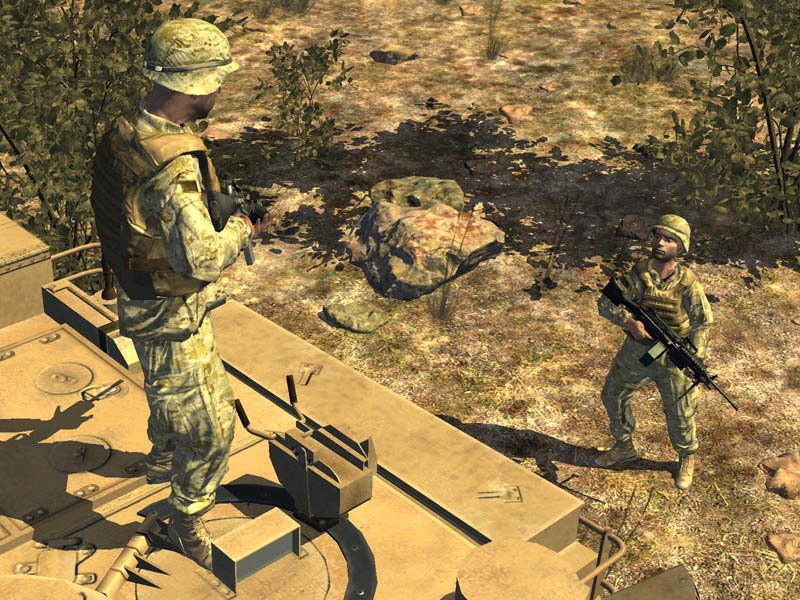 Arma: Armed Assault — скриншот 6