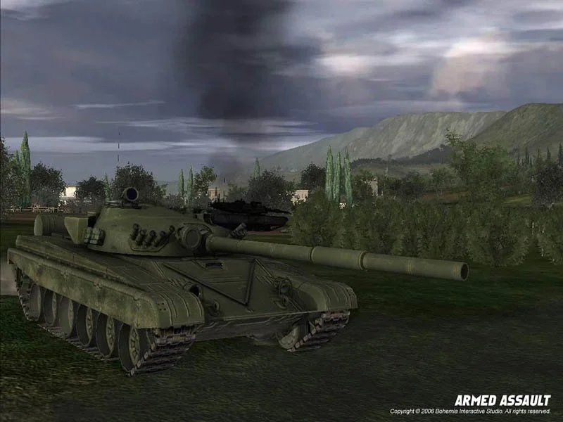 Arma: Armed Assault - кадр 8