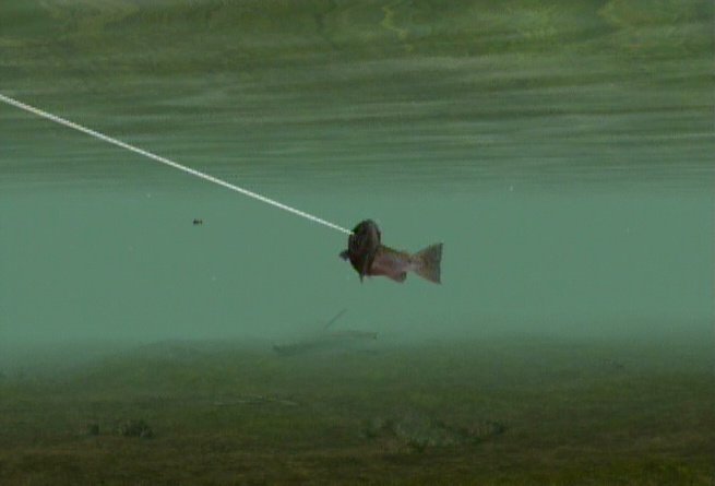 Reel Fishing: Angler's Dream — скриншот 3