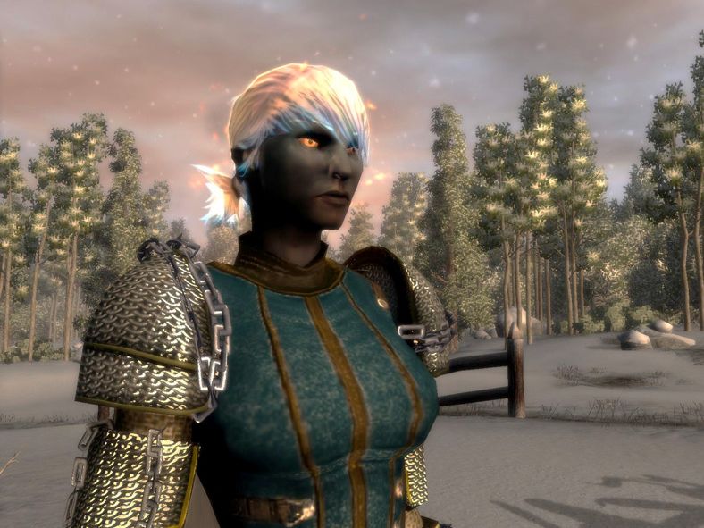 Neverwinter Nights 2: Mask of the Betrayer — скриншот 3