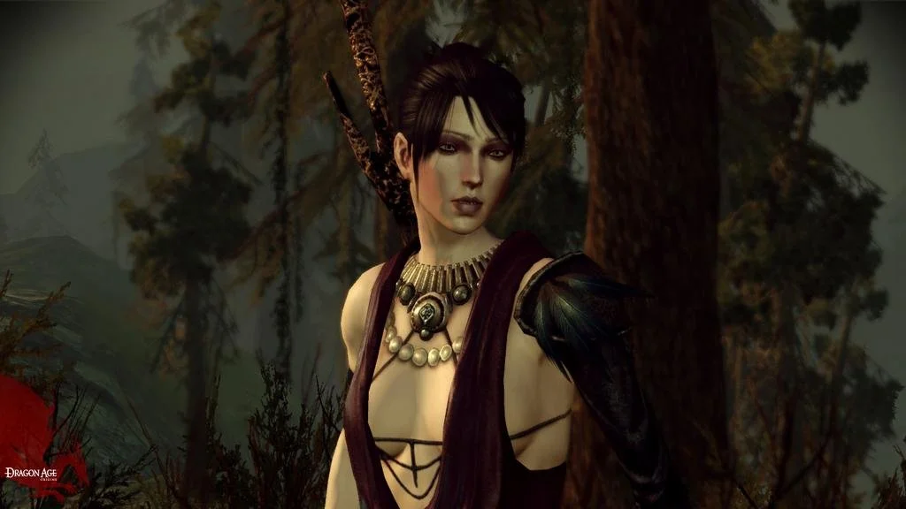 Dragon Age: Origins - кадр 13