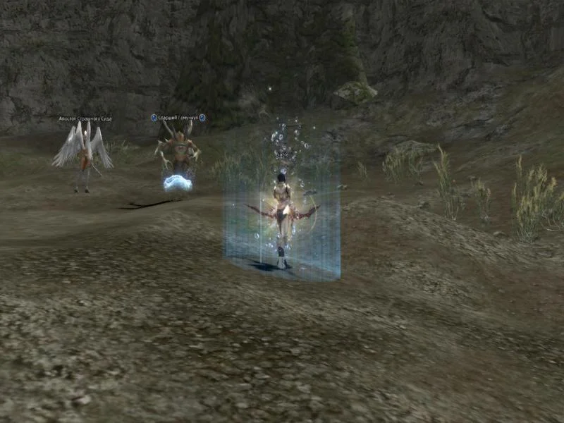 Lineage 2 - кадр 10
