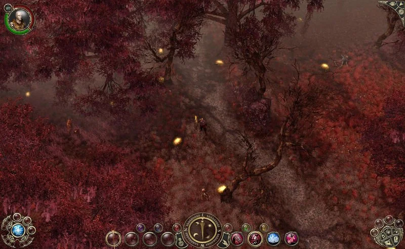 Sacred 2: Ice & Blood - кадр 2