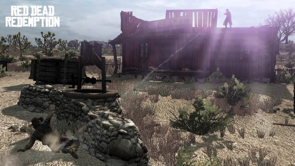 Red Dead Redemption - кадр 12