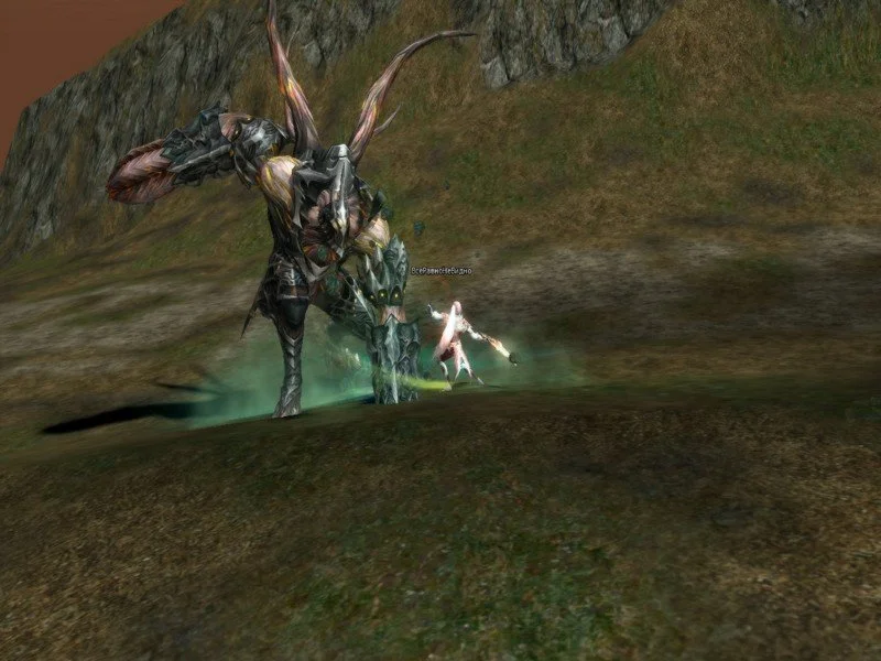 Lineage 2 - кадр 11