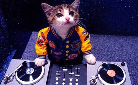 DJ Hero - кадр 1
