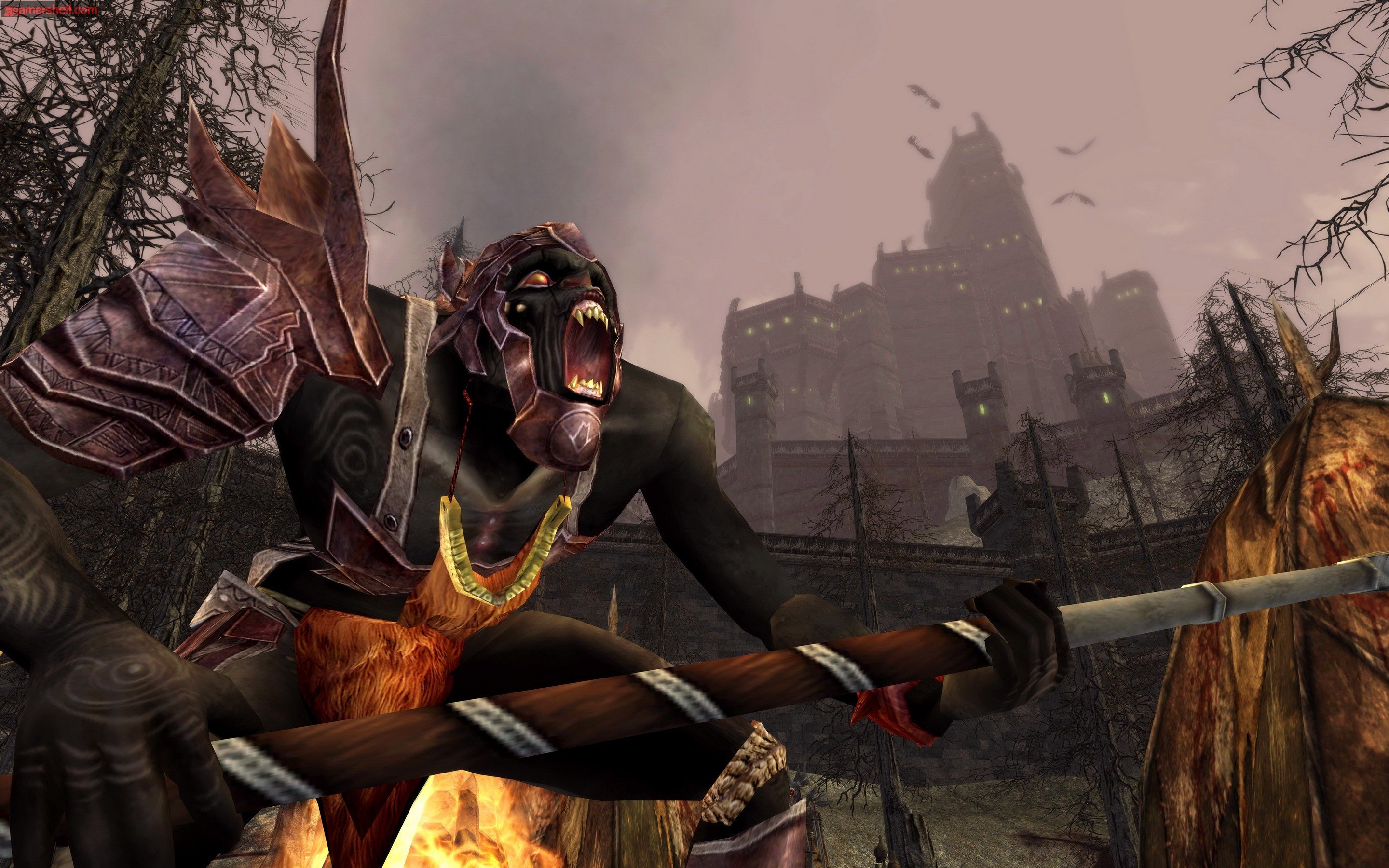 The Lord of the Rings Online: Siege of Mirkwood — скриншот 6