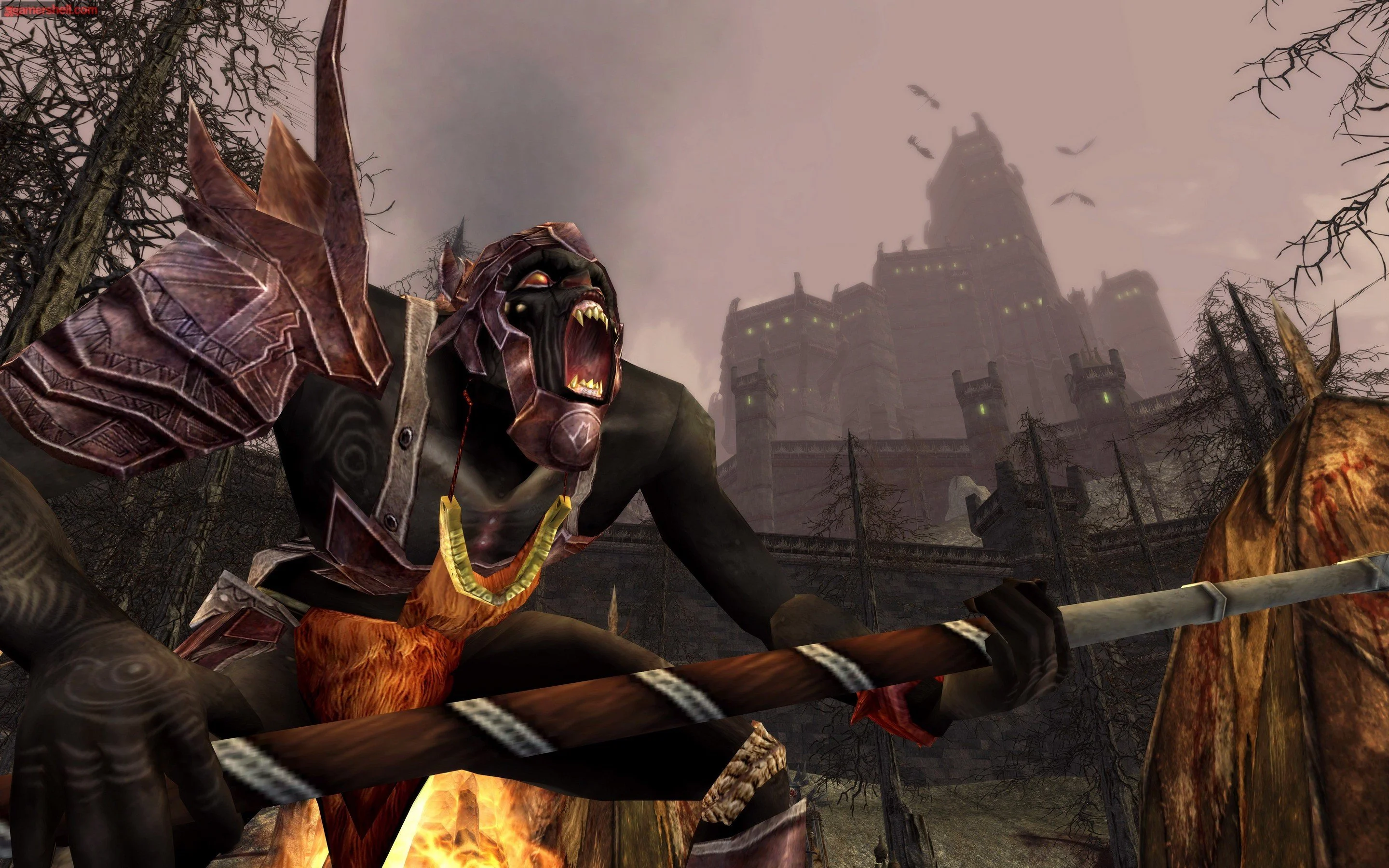The Lord of the Rings Online: Siege of Mirkwood - кадр 6