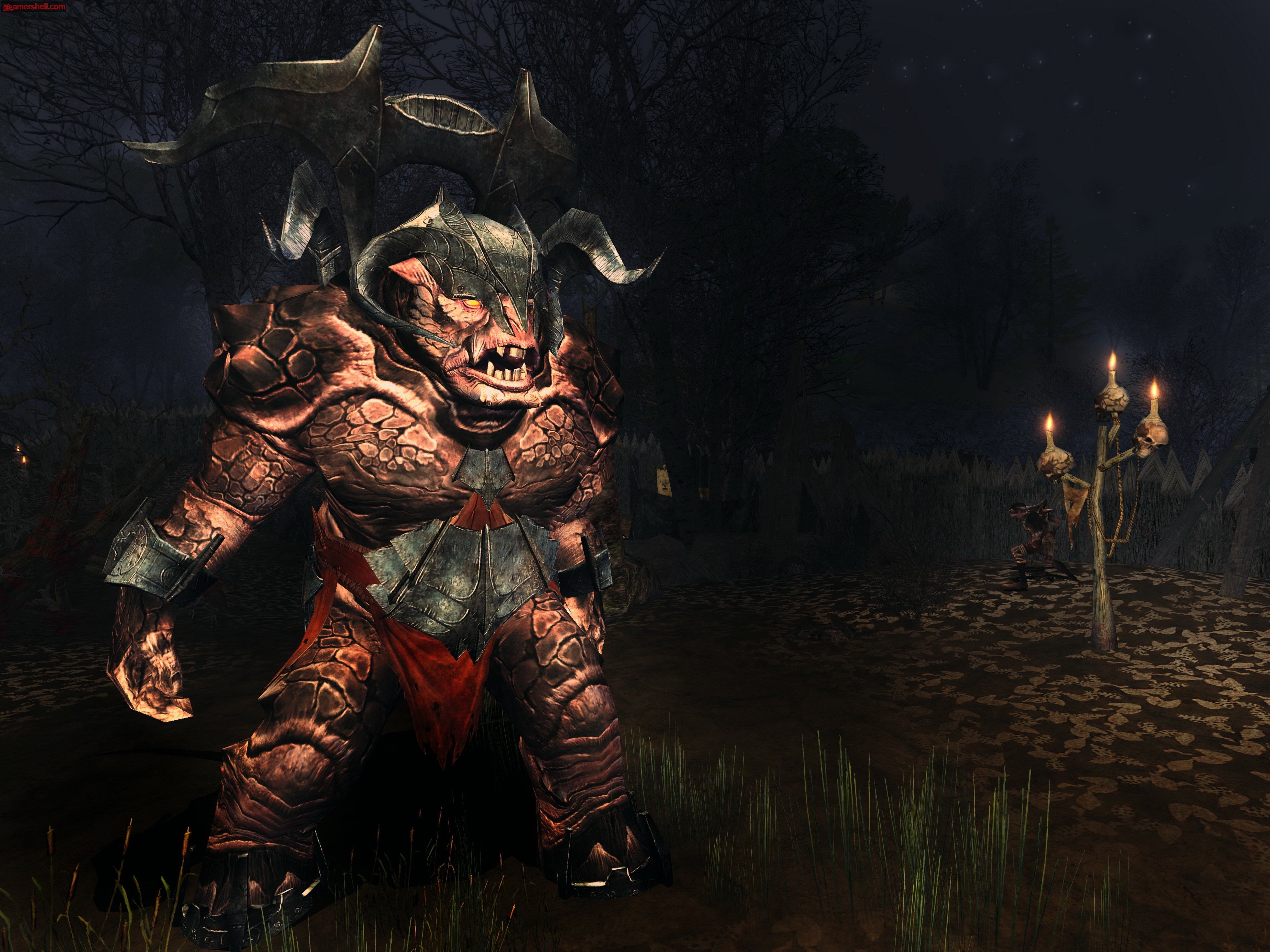 The Lord of the Rings Online: Siege of Mirkwood — скриншот 1