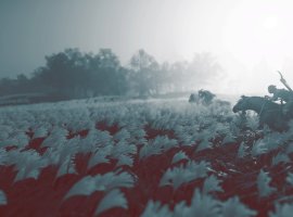 Разработчики игр для PlayStation показали любимые скриншоты в фоторежиме - изображение 1