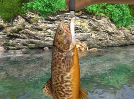 Симулятор рыбалки Reel Fishing: Days of Summer выйдет в конце октября - изображение 1