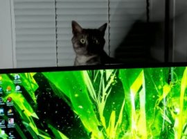 Как обустроить ультимативное игровое место? - изображение 1