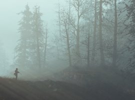 Фан-арты недели. Как выглядели бы The Witcher 3, Battlefield 1 и Fallout 4 в 2D - изображение 1