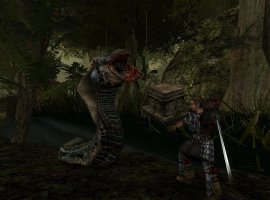 Gothic 2 вместе с дополнением вышла на Nintendo Switch c русской локализацией - изображение 1