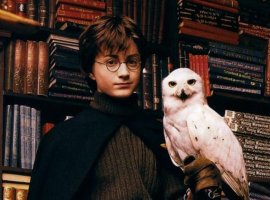 В Dying Light: The Following найдена «пасхалка» про Гарри Поттера - изображение 1