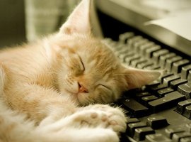 Неделя на Канобу - изображение 1