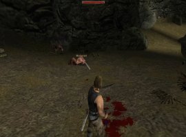 Свежий патч для Gothic Classic на Nintendo Switch исправил множество багов - изображение 1