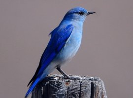 10 самых интересных твитов игровой индустрии на этой неделе - изображение 1