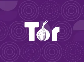 Роскомнадзор потребовал от Google удалить Tor Browser из Google Play Store - изображение 1