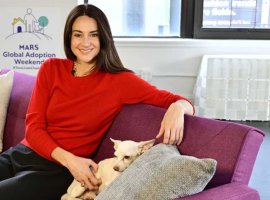 Шейлин Вудли рассказала о важности выстраивания отношений с животными из приютов - изображение 1