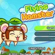 Flying Hamster
