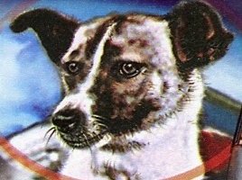 Неделя глазами редакции «Канобу»: 16-22 февраля - изображение 1