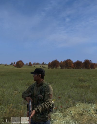 Какая dayz лучше