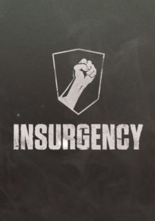 Insurgency
